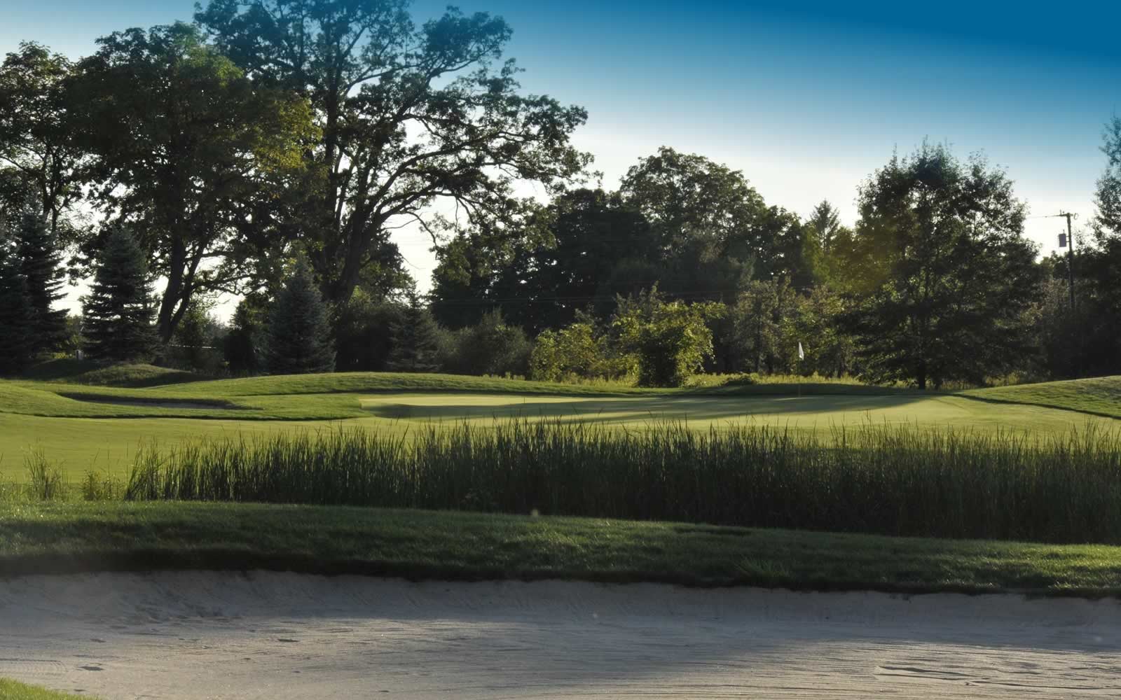 Best Golf Courses In Oakland County Michigan 